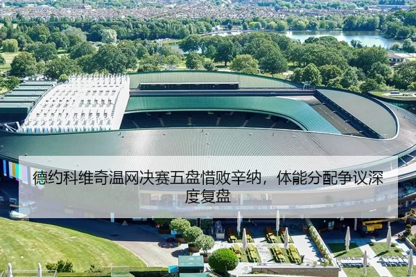 de-yue-ke-wei-qi-wen-wang-jue-sai-wu-pan-xi-bai-xin-na-ti-neng-fen-pei-zheng-yi-shen-du-fu-pan-2-679.jpg
