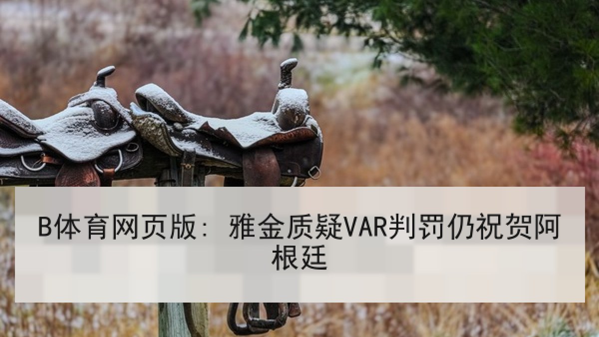 B体育网页版: 雅金质疑VAR判罚仍祝贺阿根廷