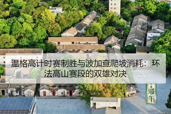 wen-ge-gao-ji-shi-sai-zhi-sheng-yu-bo-jia-cha-pa-po-xiao-hao-huan-fa-gao-shan-sai-duan-de-shuang-xiong-dui-jue-3-912.jpg