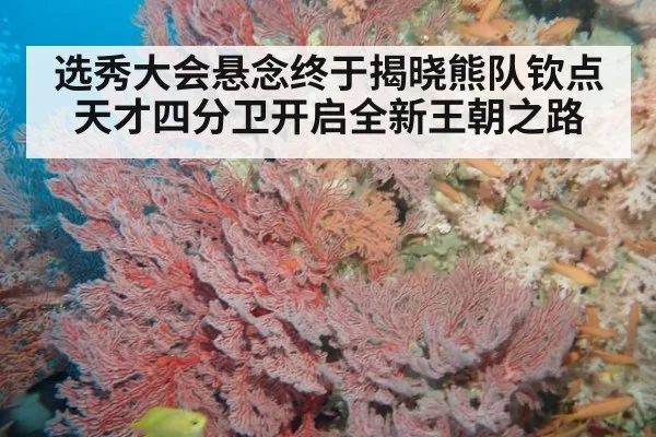 选秀大会悬念终于揭晓熊队钦点天才四分卫开启全新王朝之路