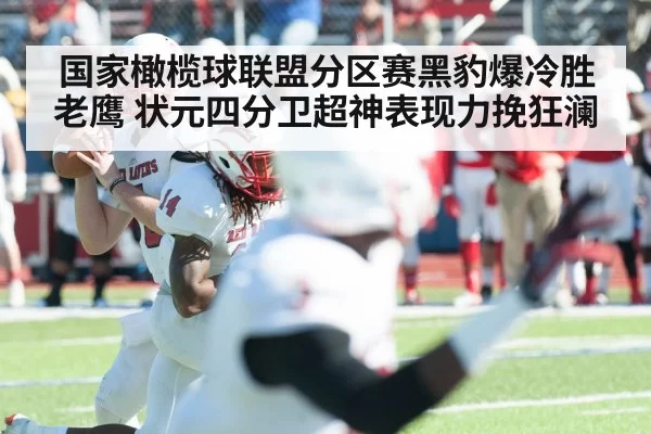 国家橄榄球联盟分区赛黑豹爆冷胜老鹰 状元四分卫超神表现力挽狂澜