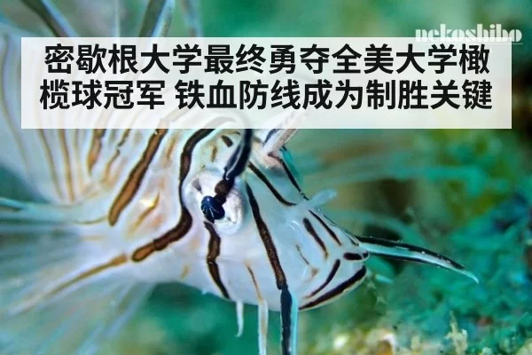 密歇根大学最终勇夺全美大学橄榄球冠军 铁血防线成为制胜关键