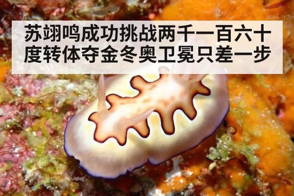 苏翊鸣成功挑战两千一百六十度转体夺金冬奥卫冕只差一步